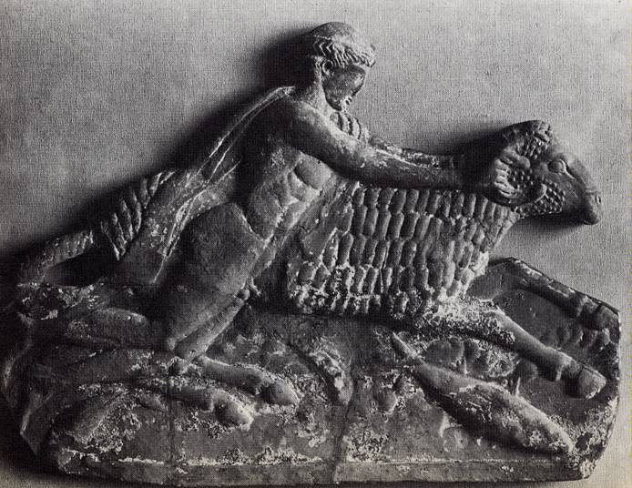 Phrixus clinging to ram